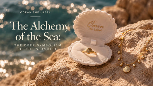 The Alchemy of the Sea: the deep symbolism of the seashell, with a gold scallop shell ring in an Ocean The Label shell box and a seashell necklace on sunlit rocks by the sea