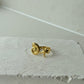SEASHORE RING
