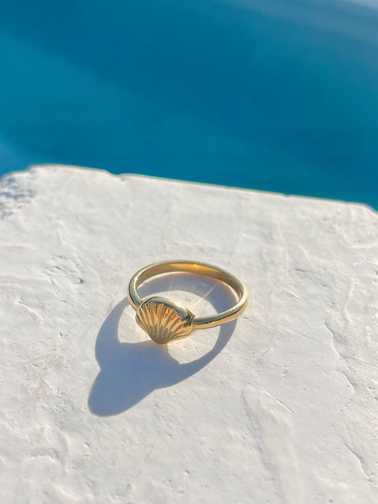 A shell gold ring waterproof featuring a detailed seashell on the front, resting on a textured white stone surface with a bright blue ocean background.
