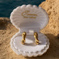 A pair of gold twisted hoop earrings displayed in an open white clamshell jewelry box on sandy beach ground with the ocean in the background. The inside of the shell is printed with the brand name 'Ocean The Label'.