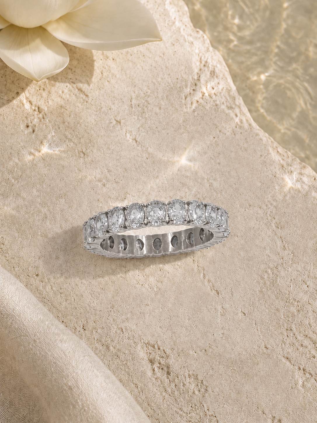 THE DIVINE RING