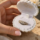 THE DIVINE RING
