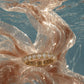 THE DIVINE RING
